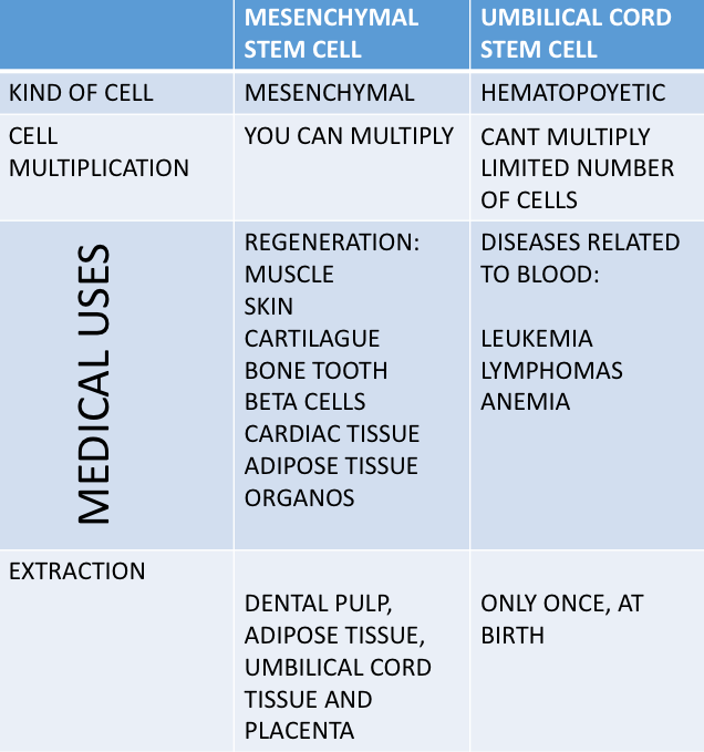 Difference Between Placenta And Umbilical Cord These Two Pictures